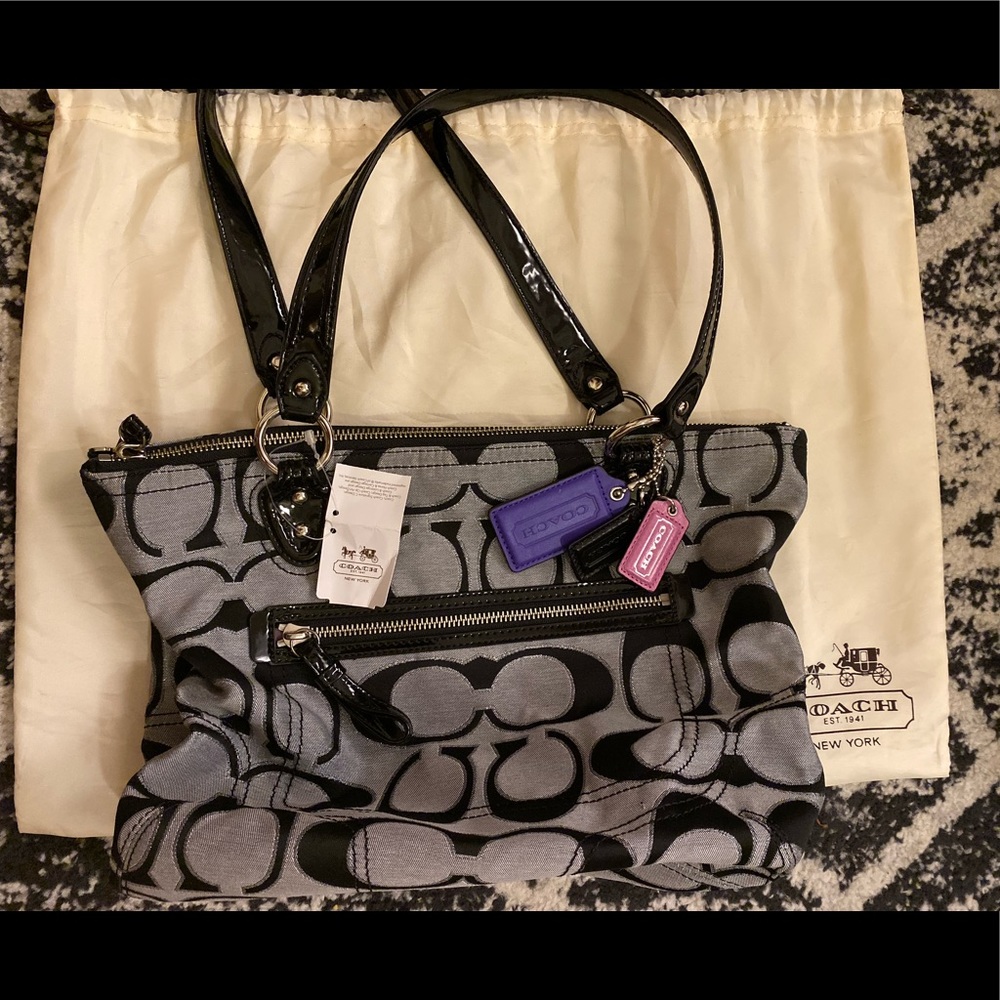 Coach SV/ Moonlight Bag